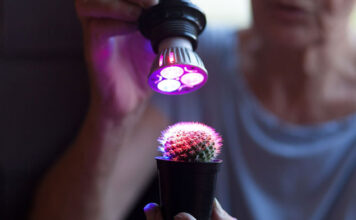 Bardzo nowoczesne lampy do uprawy roślin