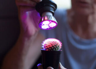Bardzo nowoczesne lampy do uprawy roślin