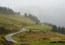 Do jakiego przebiegu warto kupić diesla? Do jakiego przebiegu warto kupić diesla?