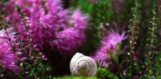 Jak długo wytrzymuje sonda lambda? Jak długo wytrzymuje sonda lambda?