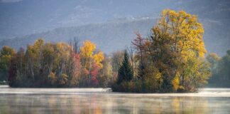 Jak wiercić otwory w gresie?