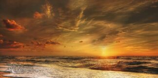 Czy w Danii można spać na dziko?