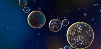 Ile oleju na 5 litrów benzyny do piły? Ile oleju na 5 litrów benzyny do piły?