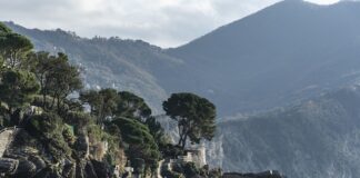 Ile kosztuje wymiana paska rozrządu w Pandzie?