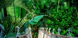 Jak długo trwa kurs na HDS?