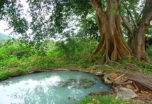 Dlaczego w domu czuć szambo?