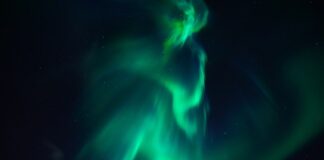 Czym się różni pasek klinowy od paska wielorowkowego? Czym się różni pasek klinowy od paska wielorowkowego?