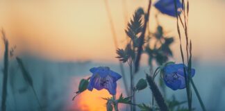 Czy na dźwigu jest toaleta?