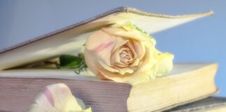 Czy warto kupić używane suzuki vitara?