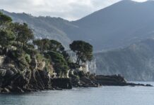 Ile kosztuje naładowanie auta elektrycznego w domu?