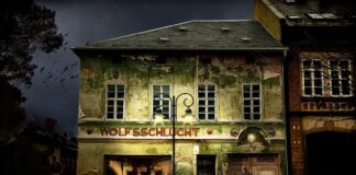 Ile procent mogą być przyciemnione przednie szyby? Ile procent mogą być przyciemnione przednie szyby?